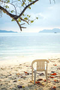 Empty chair on sand at beach