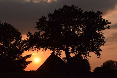 Silhouette tree by building against sky during sunset