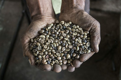 Cropped hands holding beans