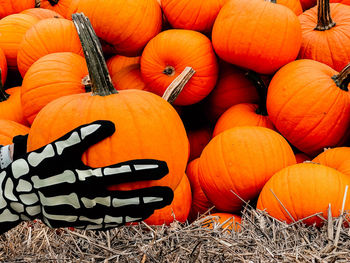 High angle view of pumpkins on field