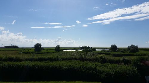 Scenic view of field against cloudy sky