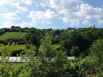 Scenic view of grassy field against cloudy sky