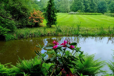 Scenic view of lake