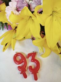 High angle view of yellow flowering plant