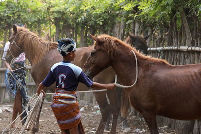 Two horses in a horse