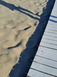 Shadow of tree on the wall