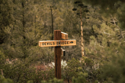 Close-up of road sign