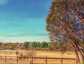 View of horse on landscape against sky