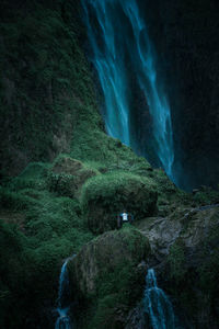 Scenic view of waterfall