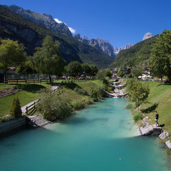 Scenic view of river amidst trees against sky