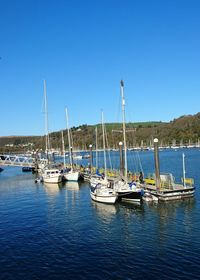 Sailboats moored in marina