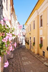 Alley amidst houses and street against sky