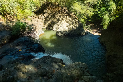 Scenic view of waterfall in forest