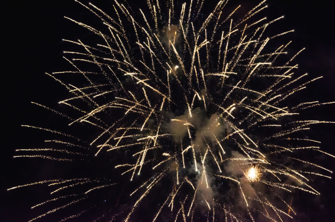 LOW ANGLE VIEW OF FIREWORK DISPLAY