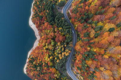 Scenic view of road by sea against sky