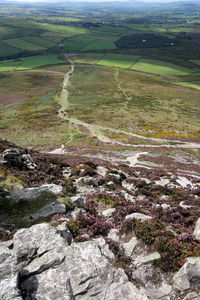 Scenic view of landscape