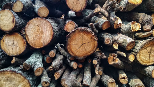 Full frame shot of logs in forest