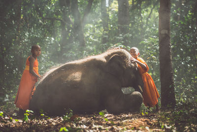 Side view of man on rock in forest