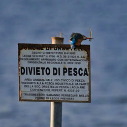 View of bird perching on sign against sky