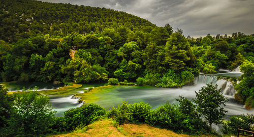 Scenic view of lake in forest against sky