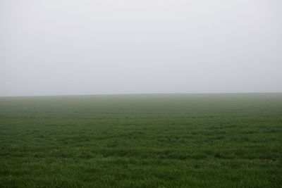 Scenic view of grassy field against sky