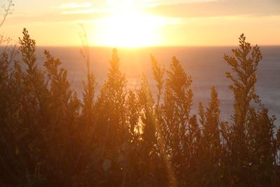 Scenic view of sunset over sea