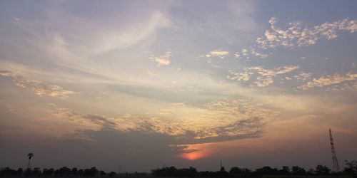 Low angle view of silhouette trees against sky during sunset