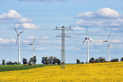 Power lines, wind turbines and a flowering canola field
