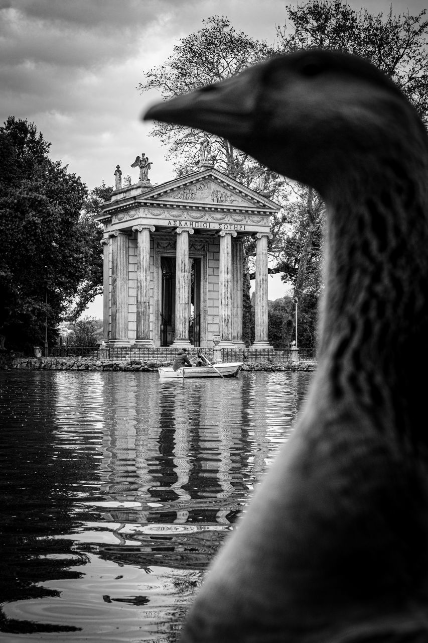 black and white, architecture, black, monochrome, monochrome photography, water, built structure, tree, reflection, history, nature, building exterior, plant, the past, sky, travel destinations, darkness, white, cloud, city, animal, no people, outdoors, day, statue, tourism, travel, animal themes