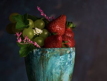 Close-up of red berries on plant