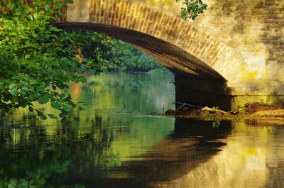 Reflection of tree on bridge over water