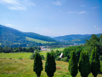 Scenic view of field against sky