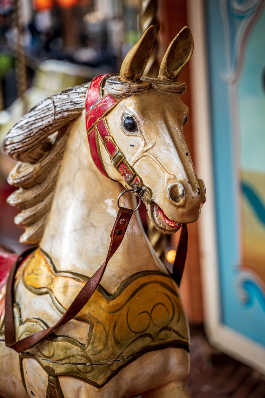 CLOSE-UP OF A HORSE WITH ANIMAL REPRESENTATION