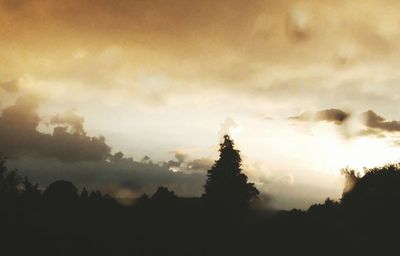 Silhouette trees against sky