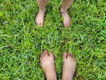 Low section of person standing on grass