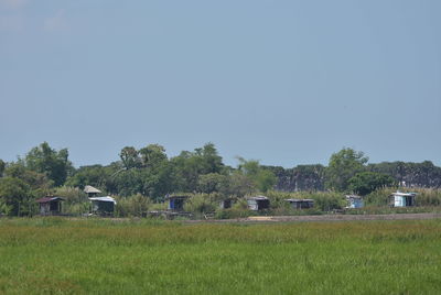 Scenic view of field against clear sky