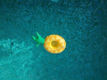 High angle view of leaf floating on swimming pool