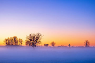 Bare trees on snow field against sky during sunset