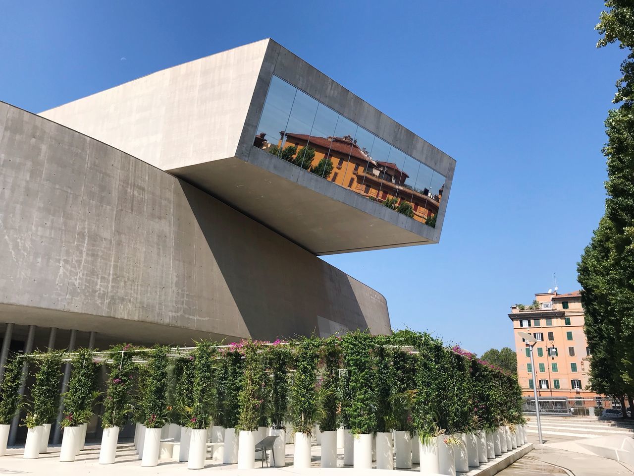 architecture, built structure, building exterior, sky, nature, plant, day, tree, low angle view, no people, building, clear sky, outdoors, city, sunlight, religion, spirituality, modern, growth, place of worship