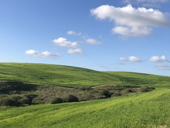 Scenic view of farm against sky