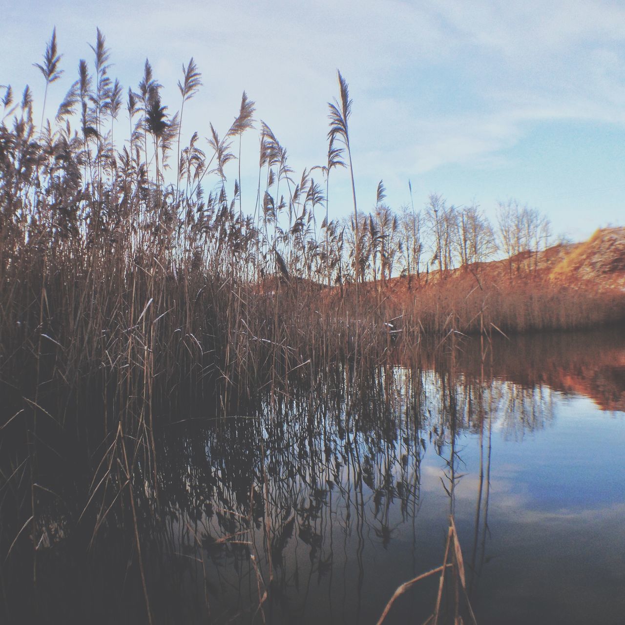 water, lake, tranquility, reflection, sky, tranquil scene, scenics, nature, tree, beauty in nature, plant, growth, lakeshore, idyllic, calm, non-urban scene, outdoors, standing water, no people, day