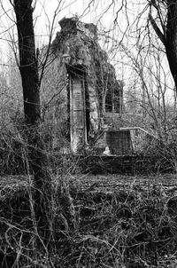 Abandoned building with bare trees in foreground