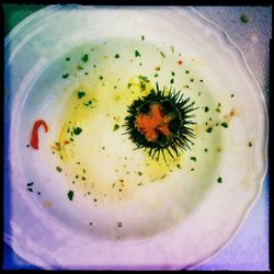 High angle view of food on plate