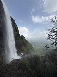 beauty in nature