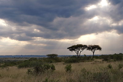 Scenic view of field against cloudy sky