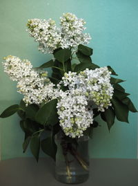 Close-up of white flower vase on table