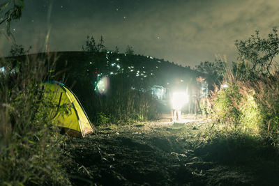 Illuminated tent on field by trees at night