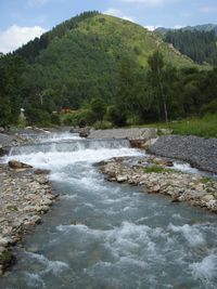 Scenic view of waterfall in forest