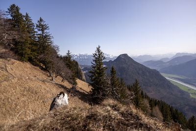 wilderness