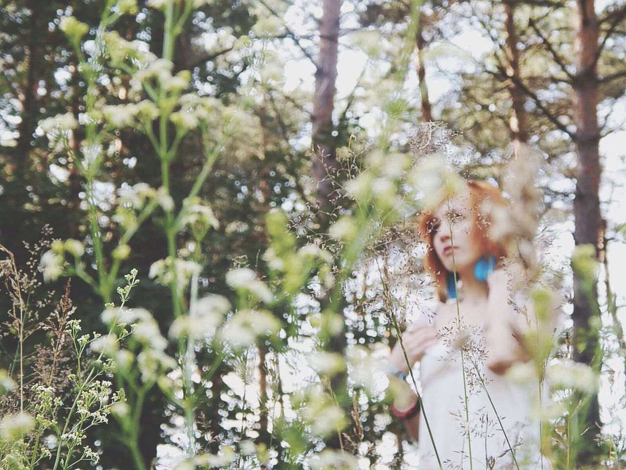 flower, tree, growth, plant, focus on foreground, nature, person, park - man made space, fragility, branch, day, outdoors, beauty in nature, freshness, childhood, sunlight, low angle view, leaf